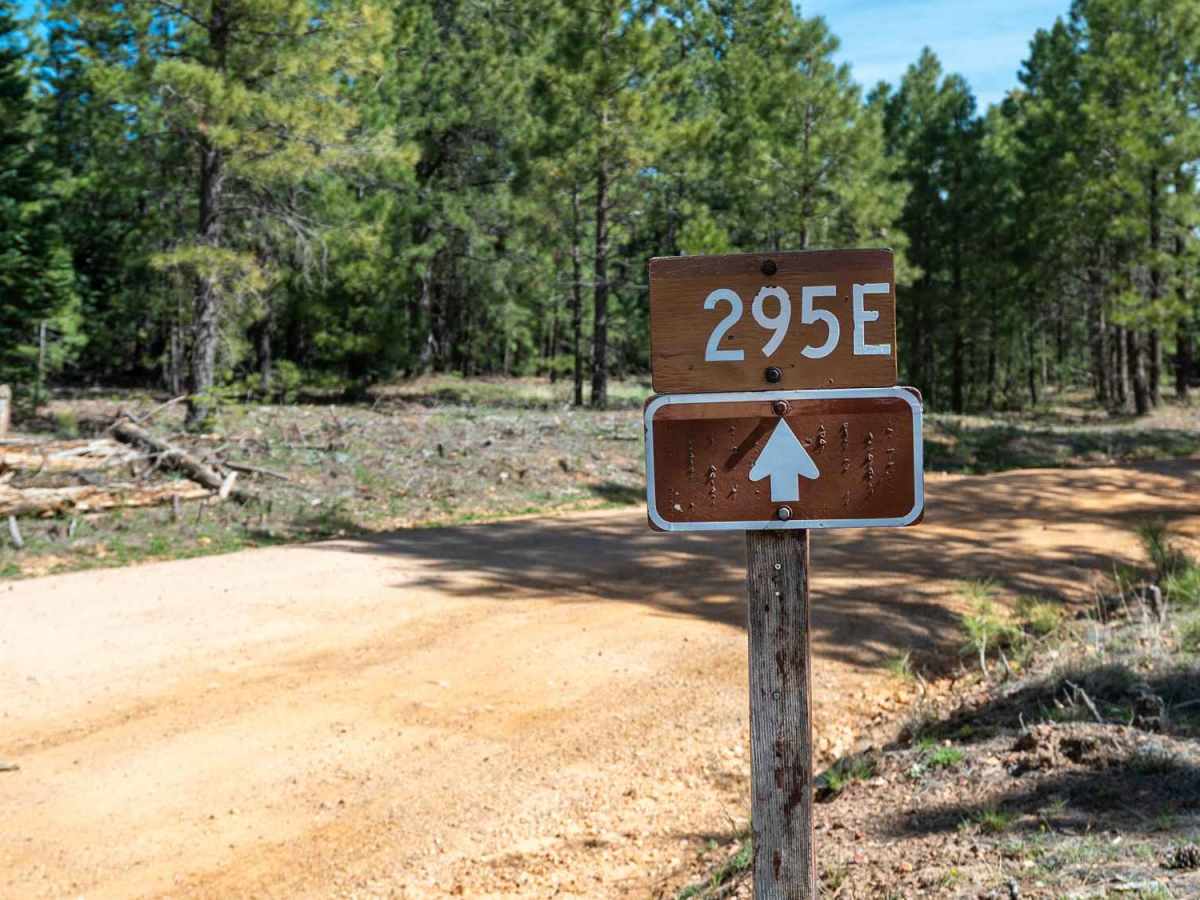 Knoll Lake - FS 295E trail photo
