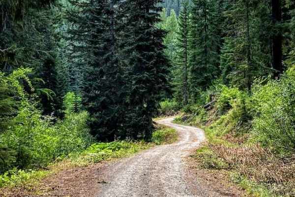 Gale Creek - FS 4948