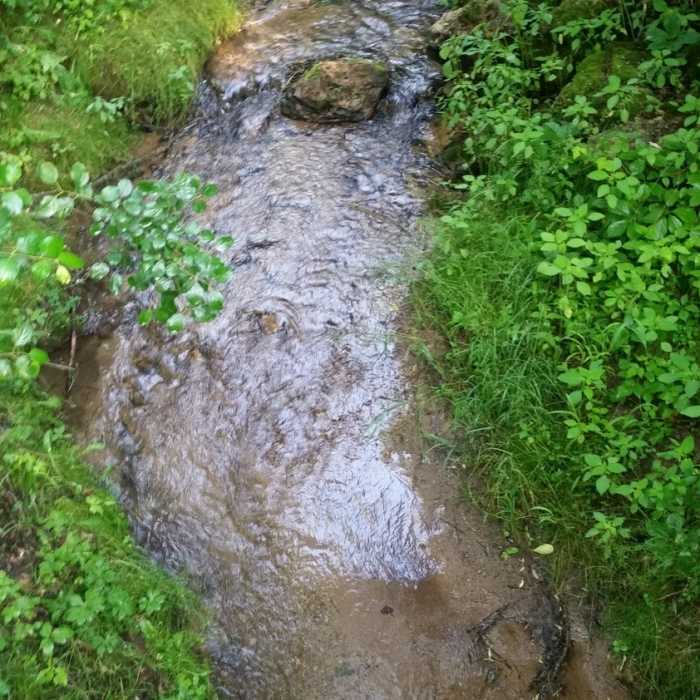 Looking down at Trout Brook from the foot bridge Near Afton Tour North