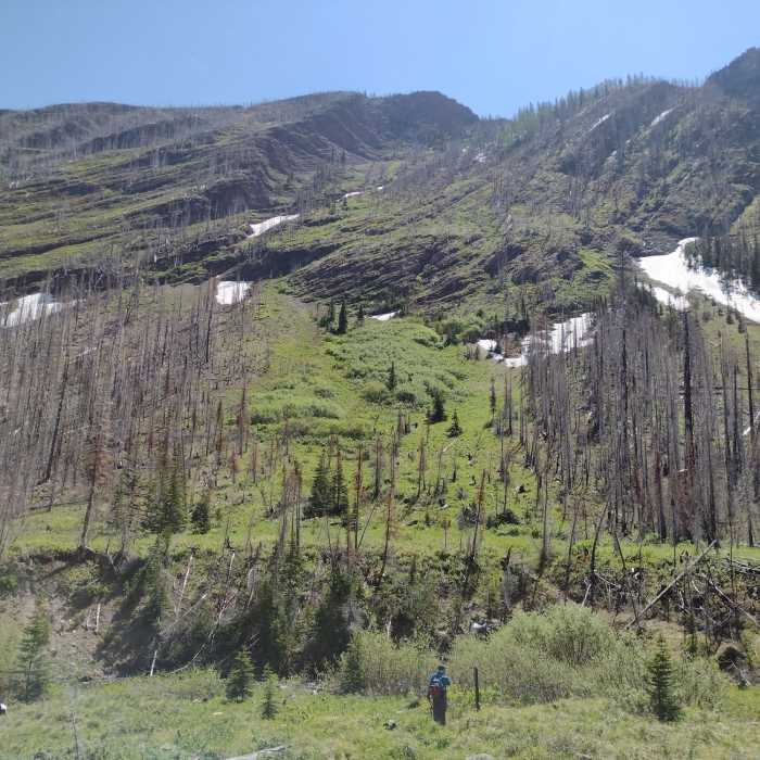 Near Wall Lake Trail