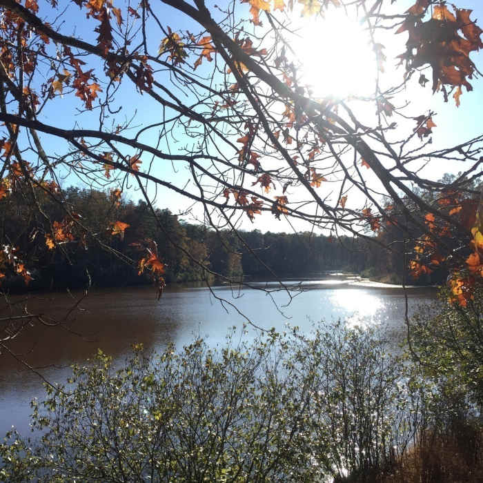 Near Walnut Creek Loop