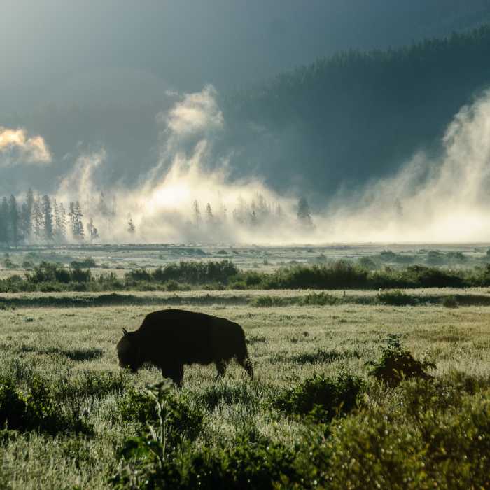Near Huckleberry Mountain Lookout