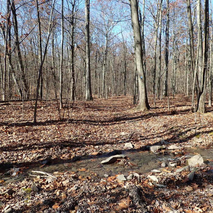 Near Shawangunk Ridge Trail: Huckleberry Ridge Section Near Shawangunk Ridge Trail: Huckleberry Ridge Section