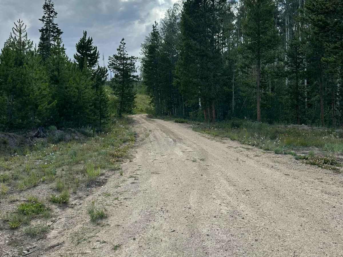 FS Road 112 trail photo