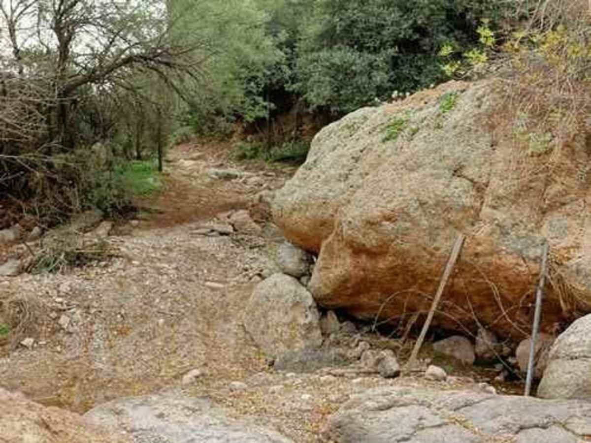Putz Wood Canyon photo 4