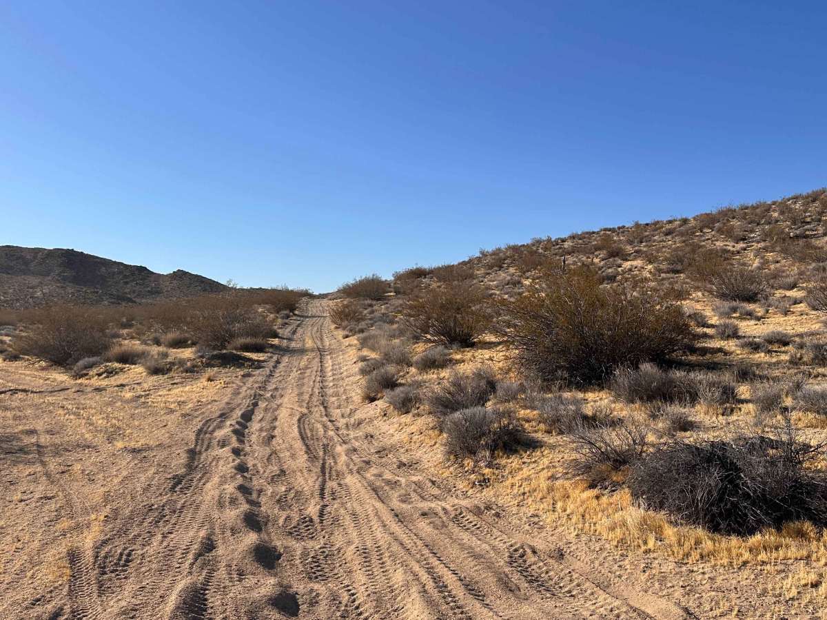 Raven Ridge trail photo