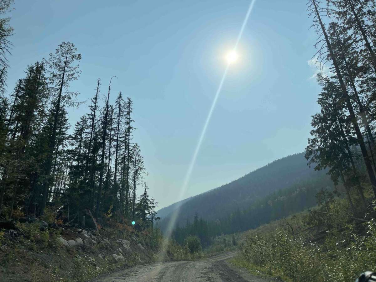 West Whatshan Road to Lookout photo 2