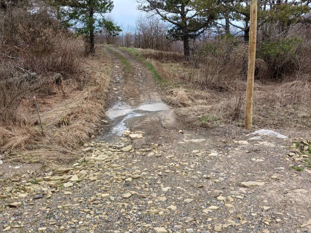 Trail 4X - Rock Run Recreation Area photo 3