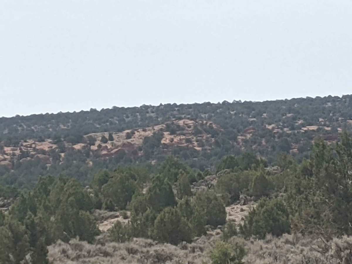 89A House Rock North photo 4