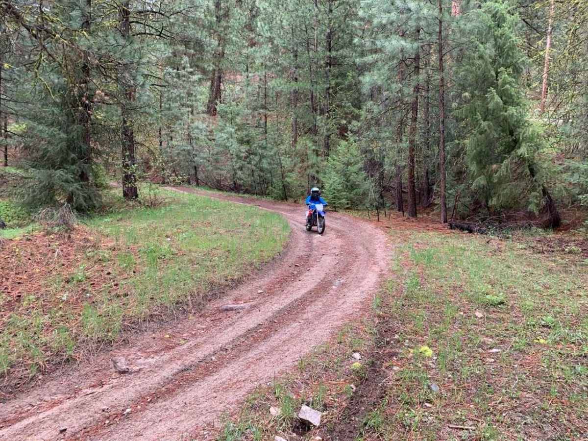 Pine Gulch photo 6