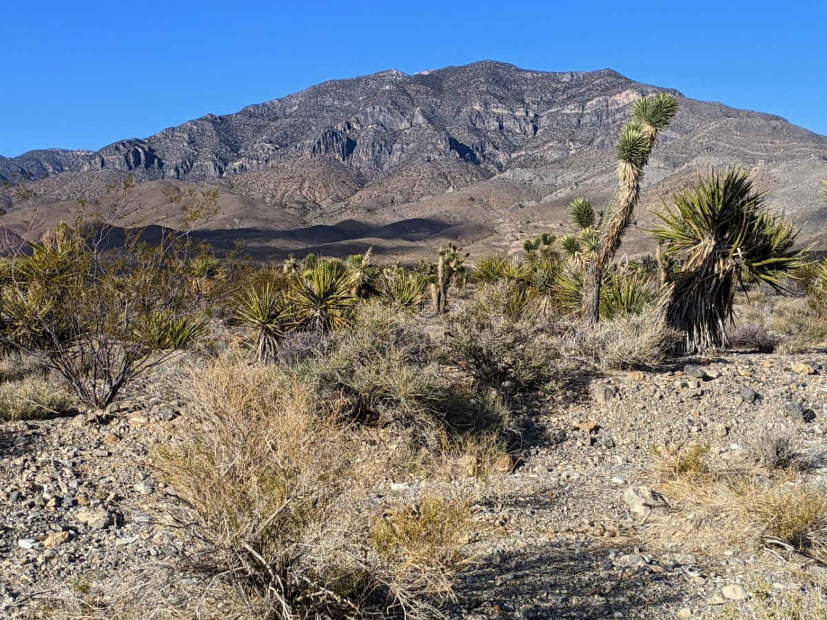 "Just Found It" Trail photo 5