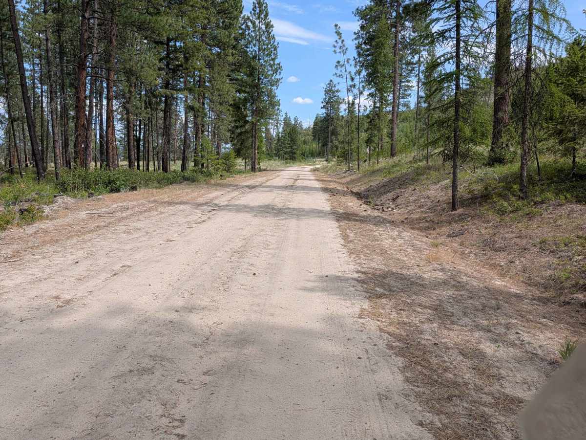 North Cook Mountain Road North half photo 4