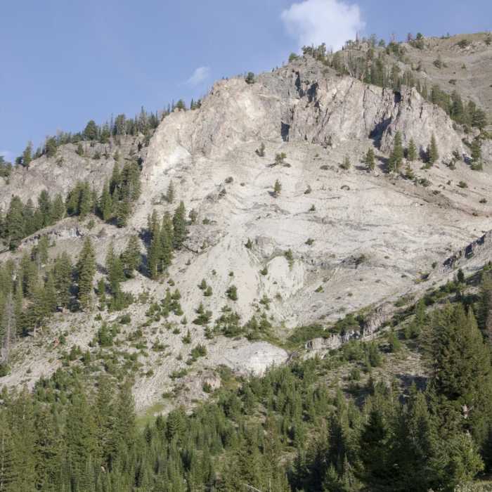 Near North Fork of the Big Wood - West Fork of the North Fork Near North Fork of the Big Wood - West Fork of the North Fork