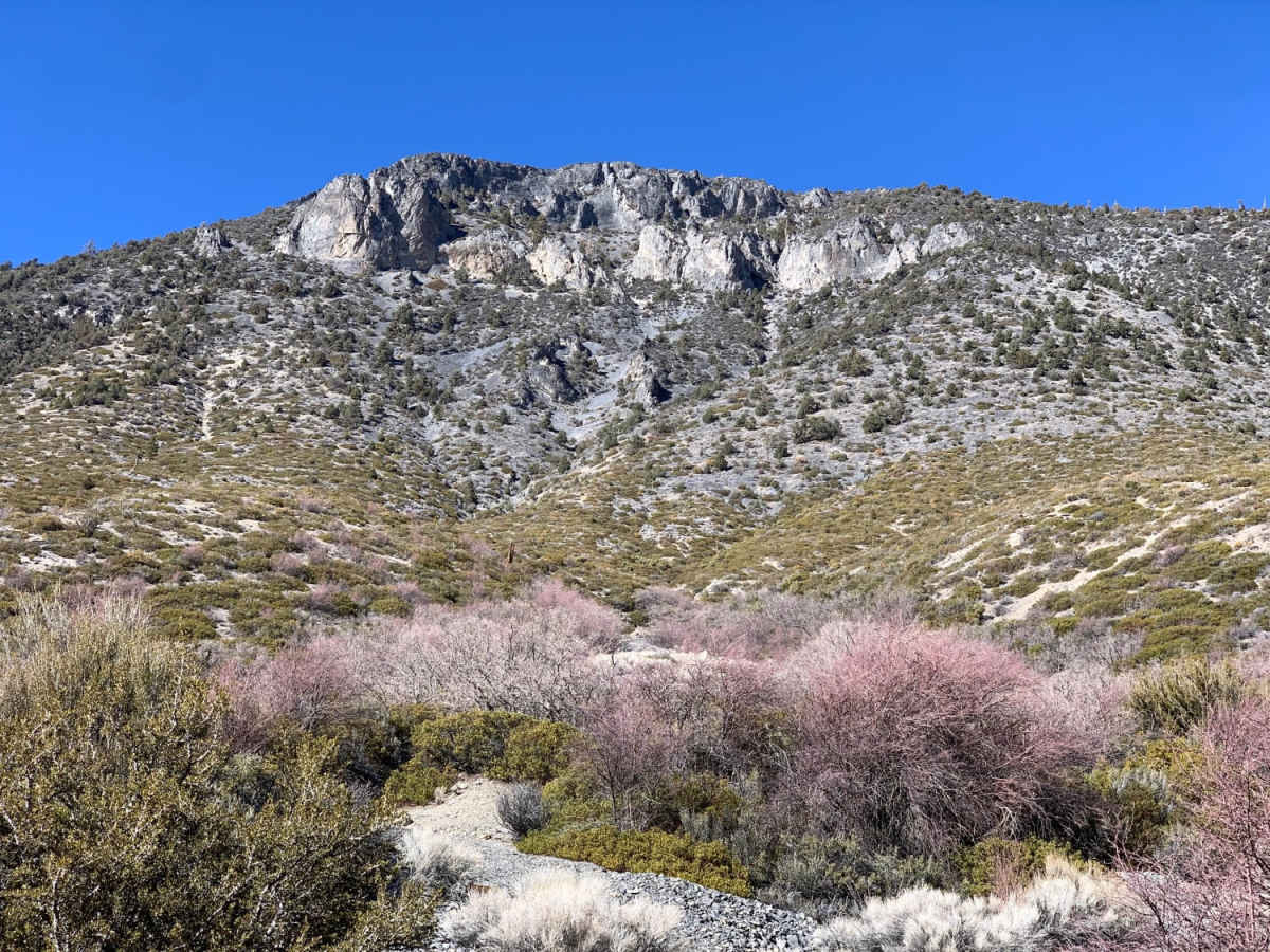 Wallace Canyon Road photo 4