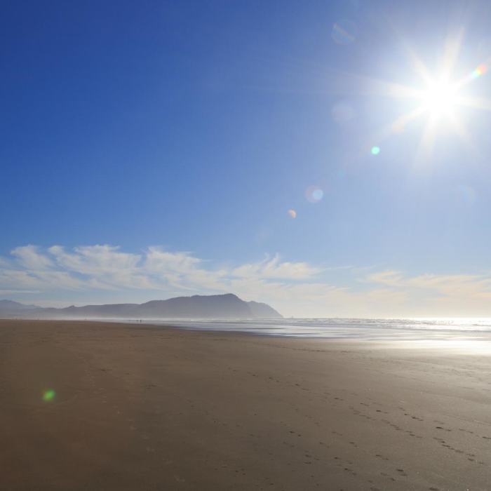 Near Oregon Coast Trail Section 1