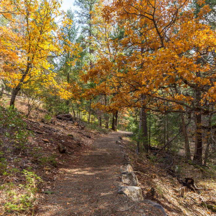 Near Headwaters Trail + PCT bridge