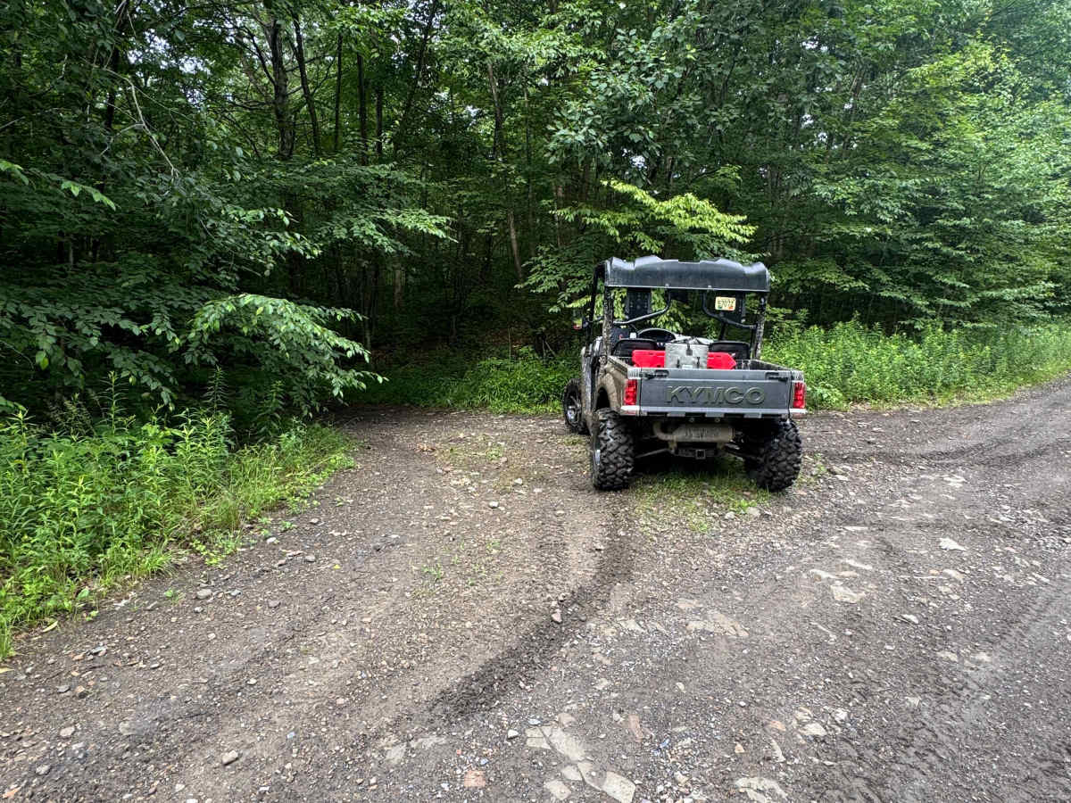 Trail 61 trail photo