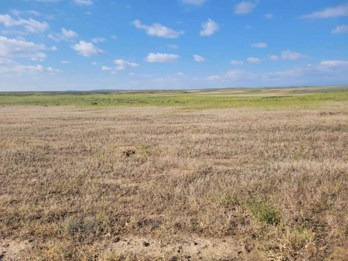 Prairie Dog Lane photo 3