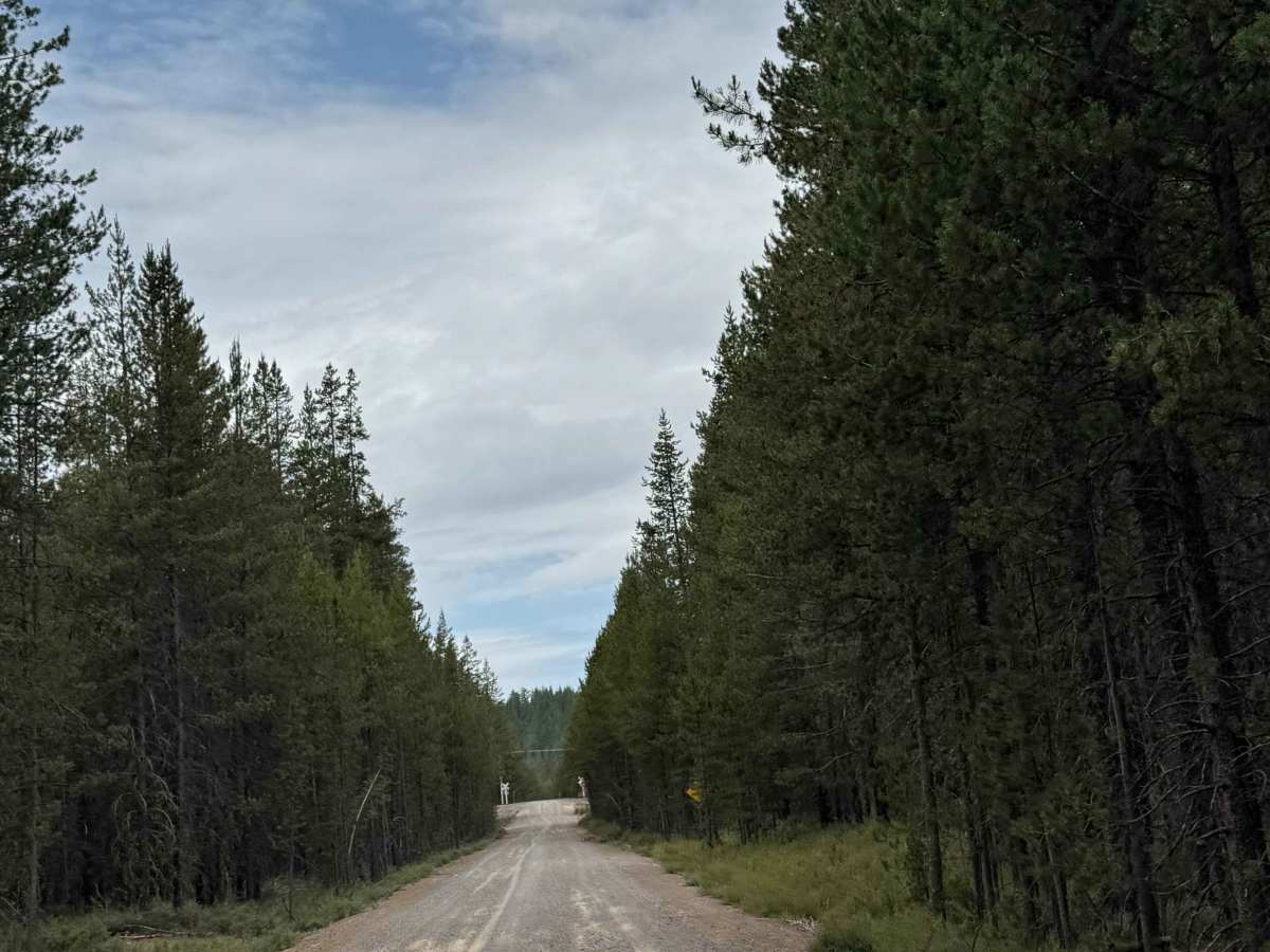 Corral Springs Road - FS 9774 photo 2