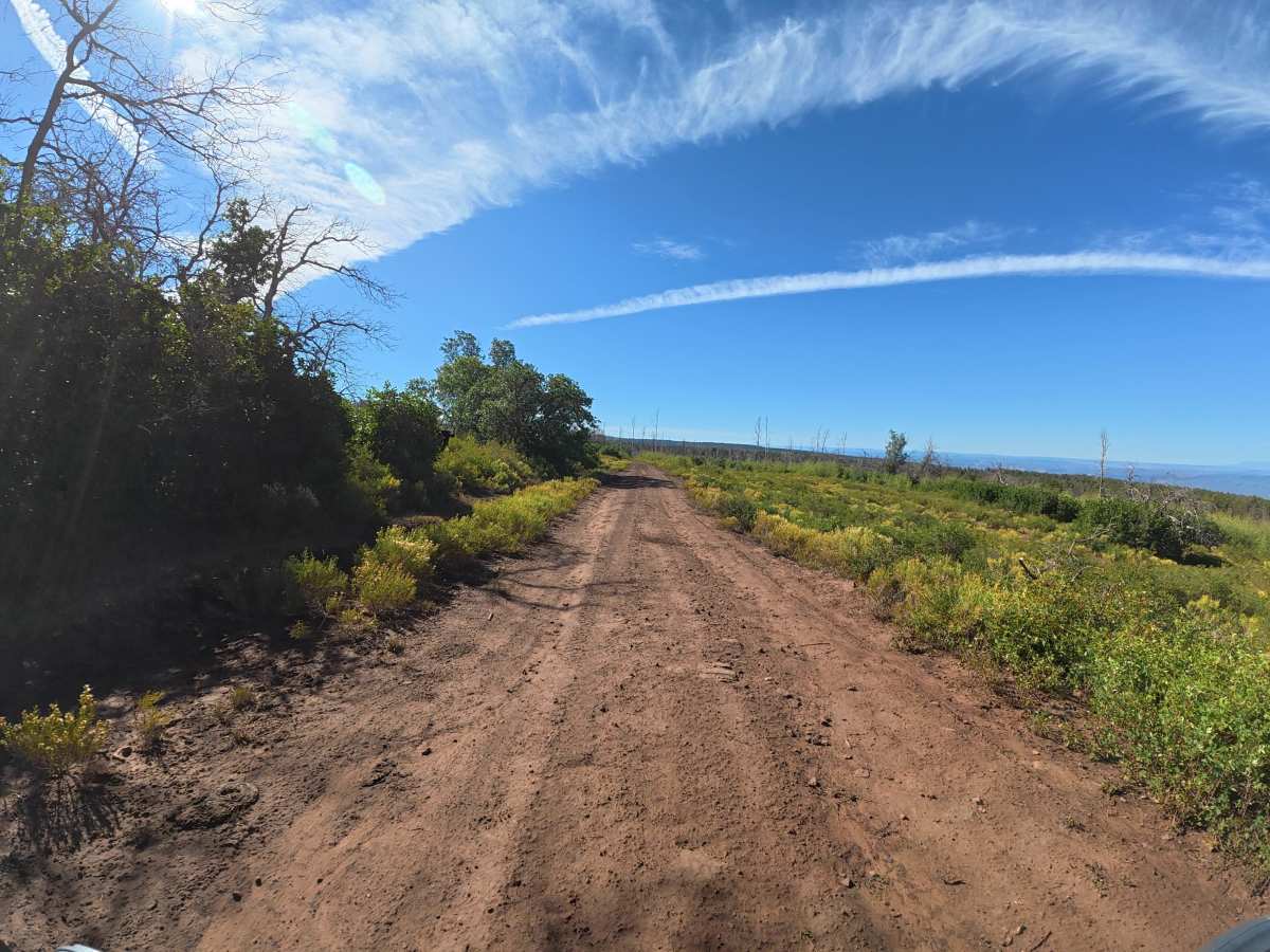 West Mesa Creek Road photo 5