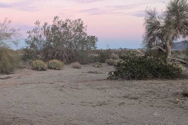 Walker Way - BLM 656