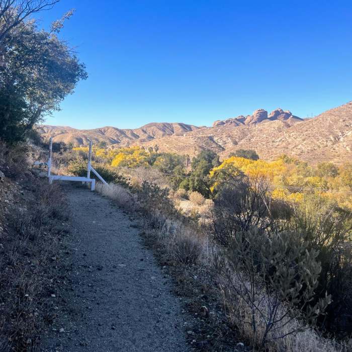 Near Indian Canyon Loop