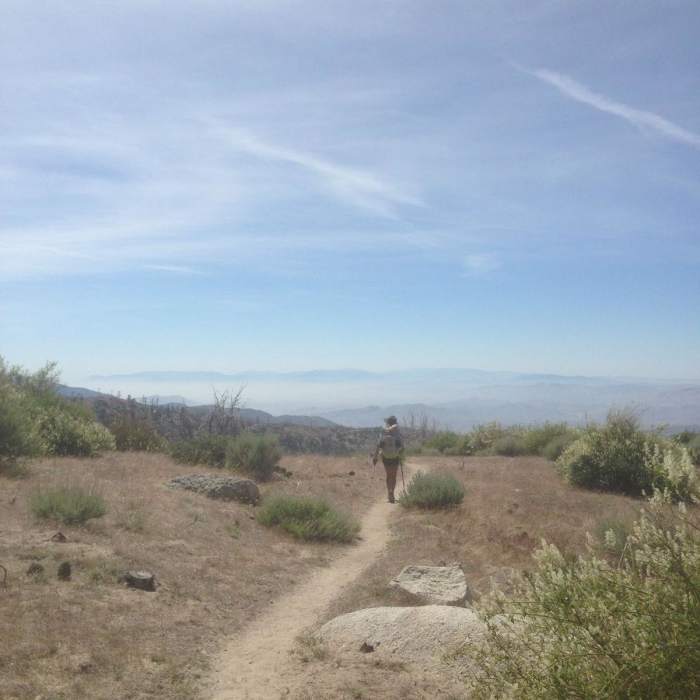 Near Pacifico Mountain Loop