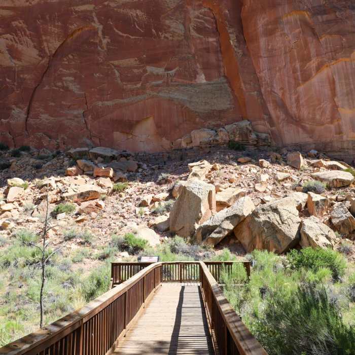 Near Petroglyph Panel