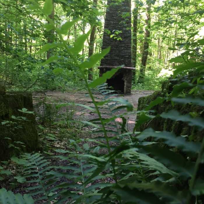 Near Mossy Ridge Trail (Red)