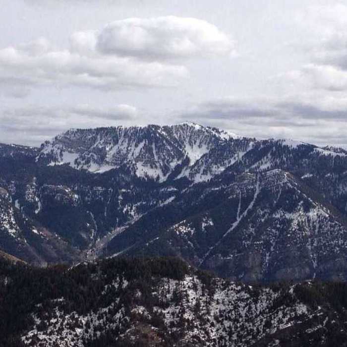A view of Logan Peak and the surrounding gullies and mountains are your reward for making your way up the King Nature Park North Ridge Trail. Near Ridgeline Trail