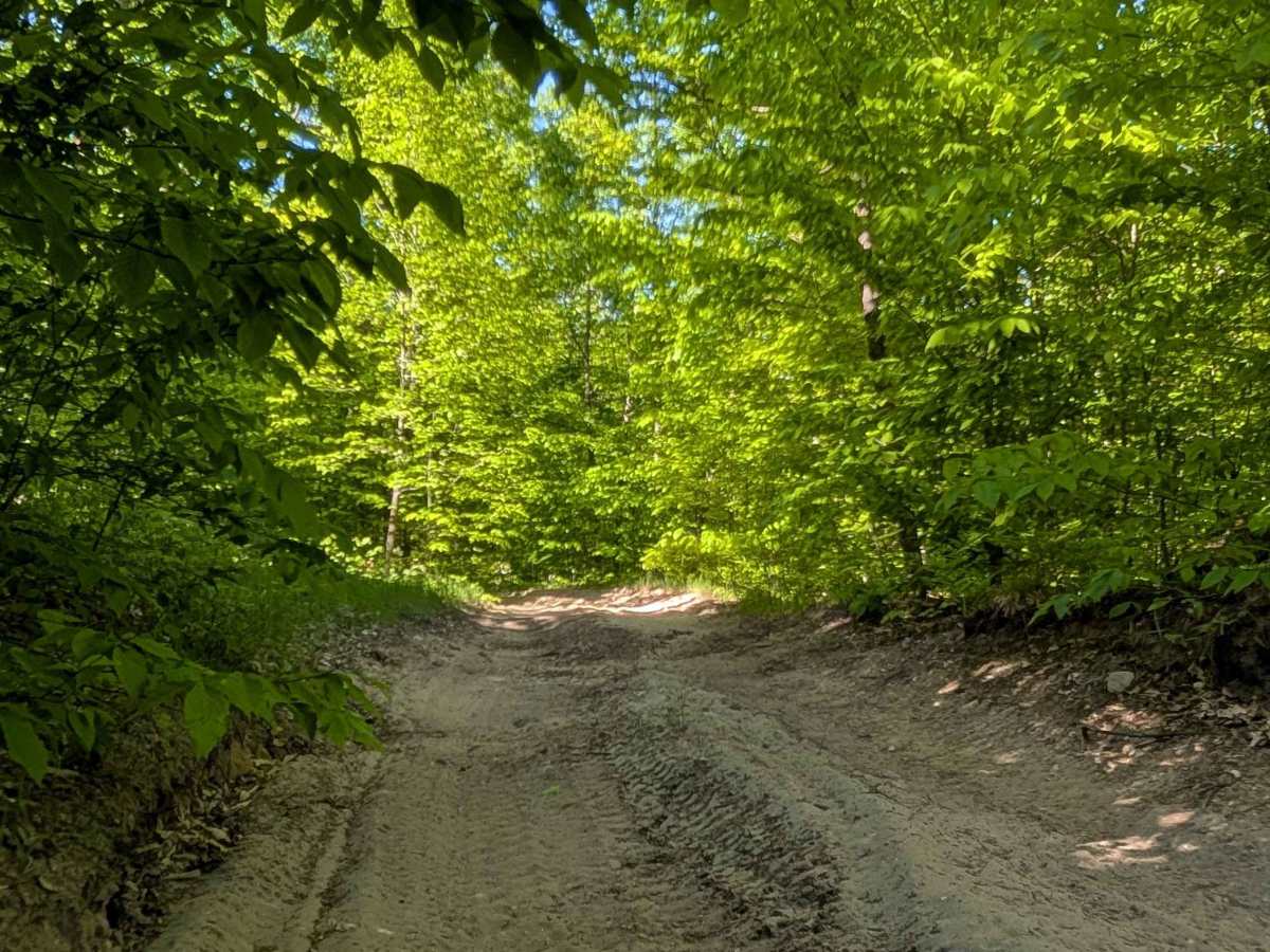 Mercum Road photo 5