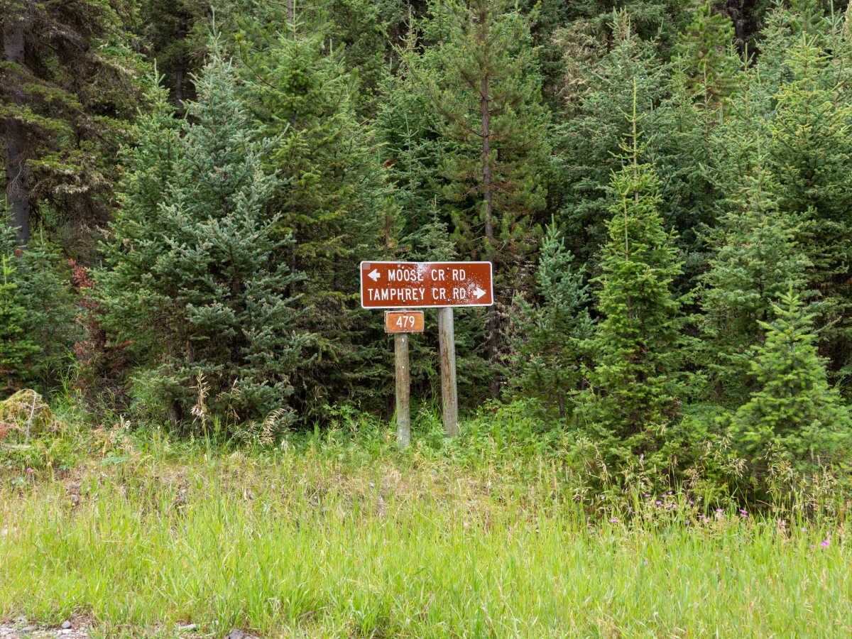 Moose Creek Road - FS 479 trail photo