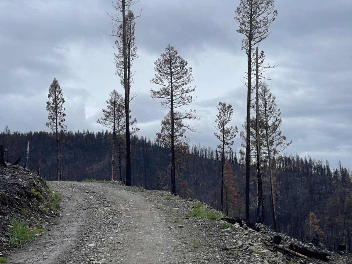 Summit Cabin Road photo 4