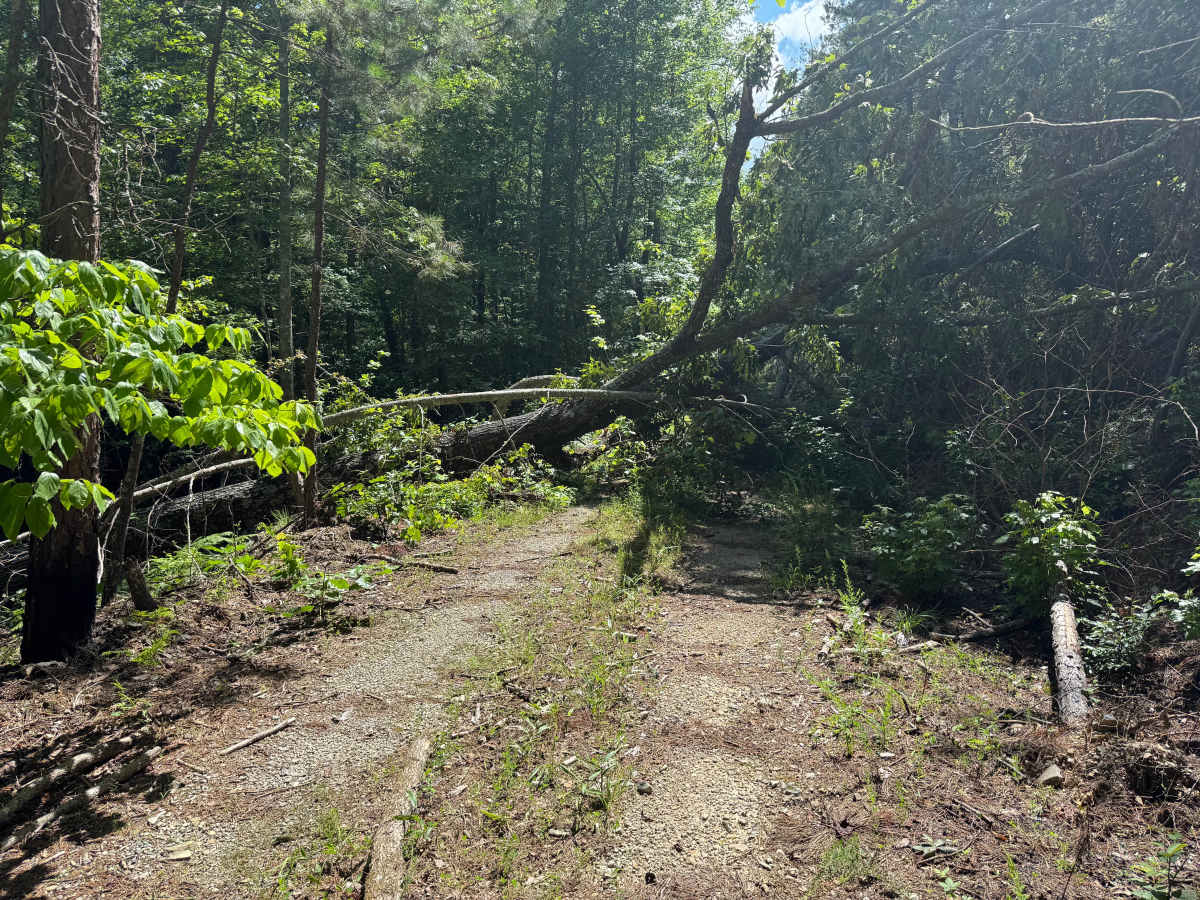 Shirley Creek Spur photo 5