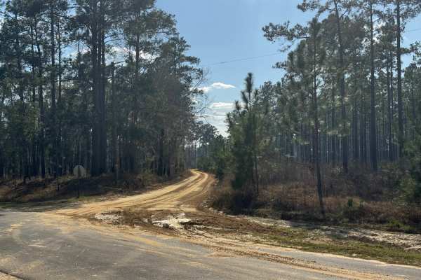 Ten Mile Still Road