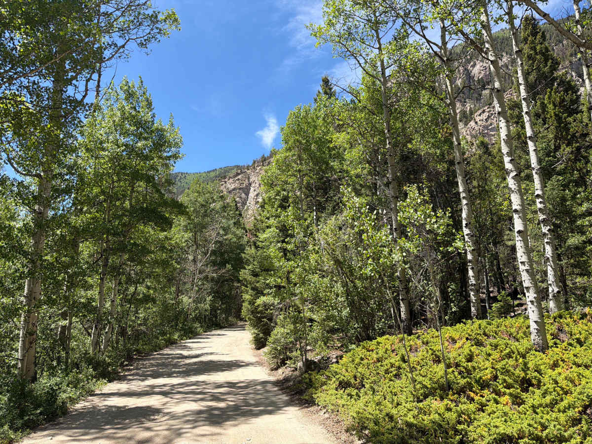 Old Chalk Creek Road photo 3
