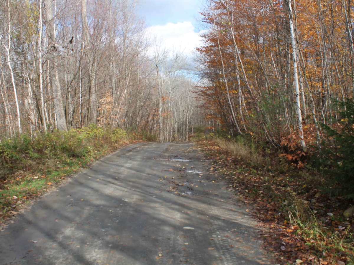 Symonds Mill Road photo 2