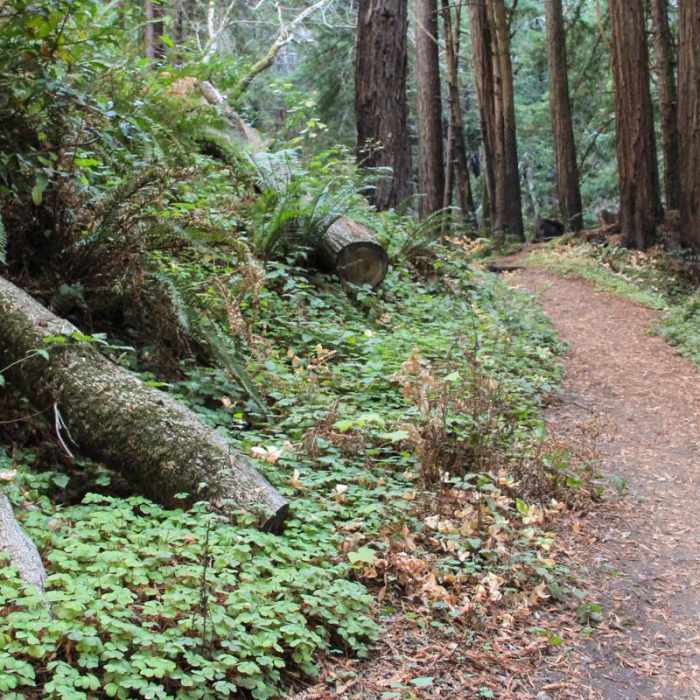 Near Hare Creek Trail Near Hare Creek Trail
