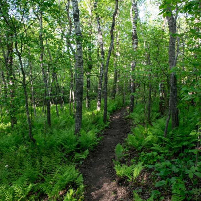 Near Brewer Park Loop Near Brewer Park Loop