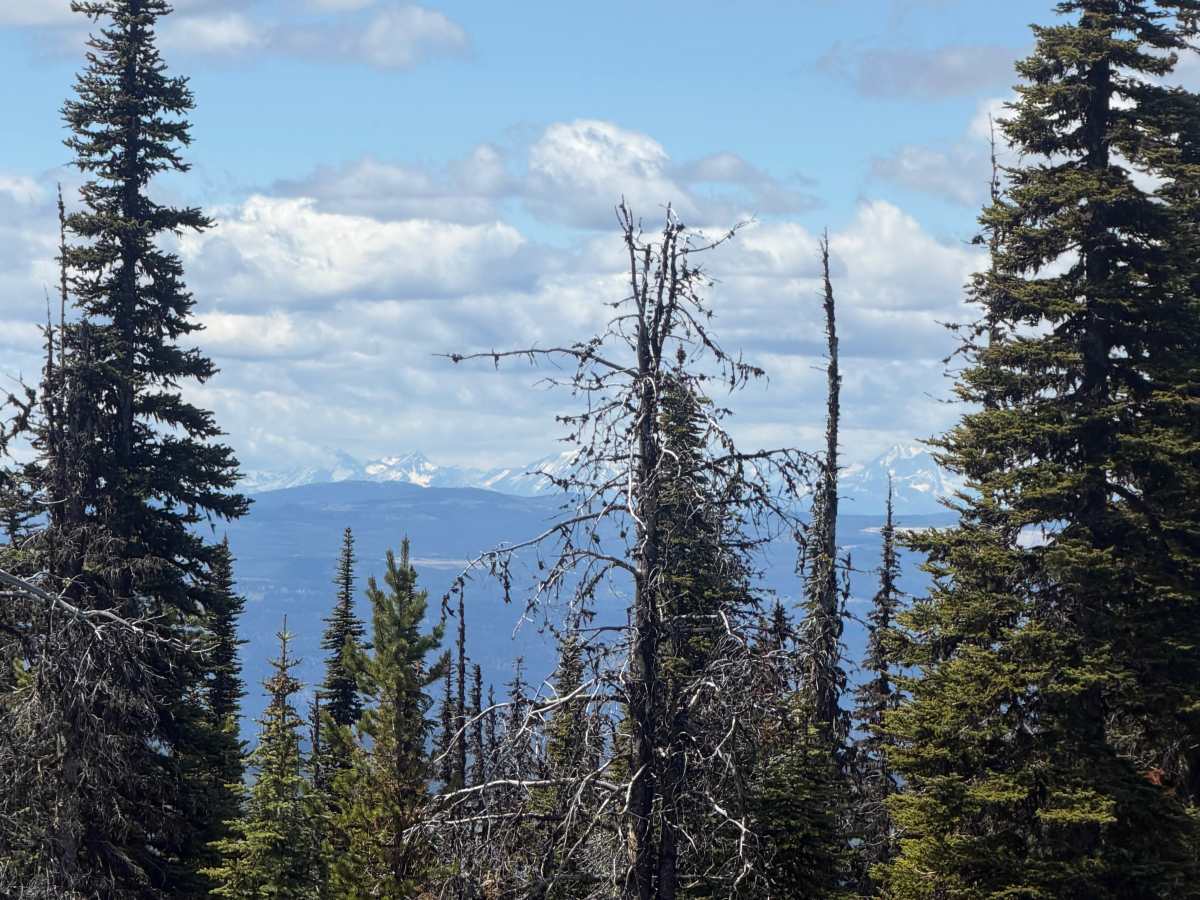 Chuwhels Mountain photo 5