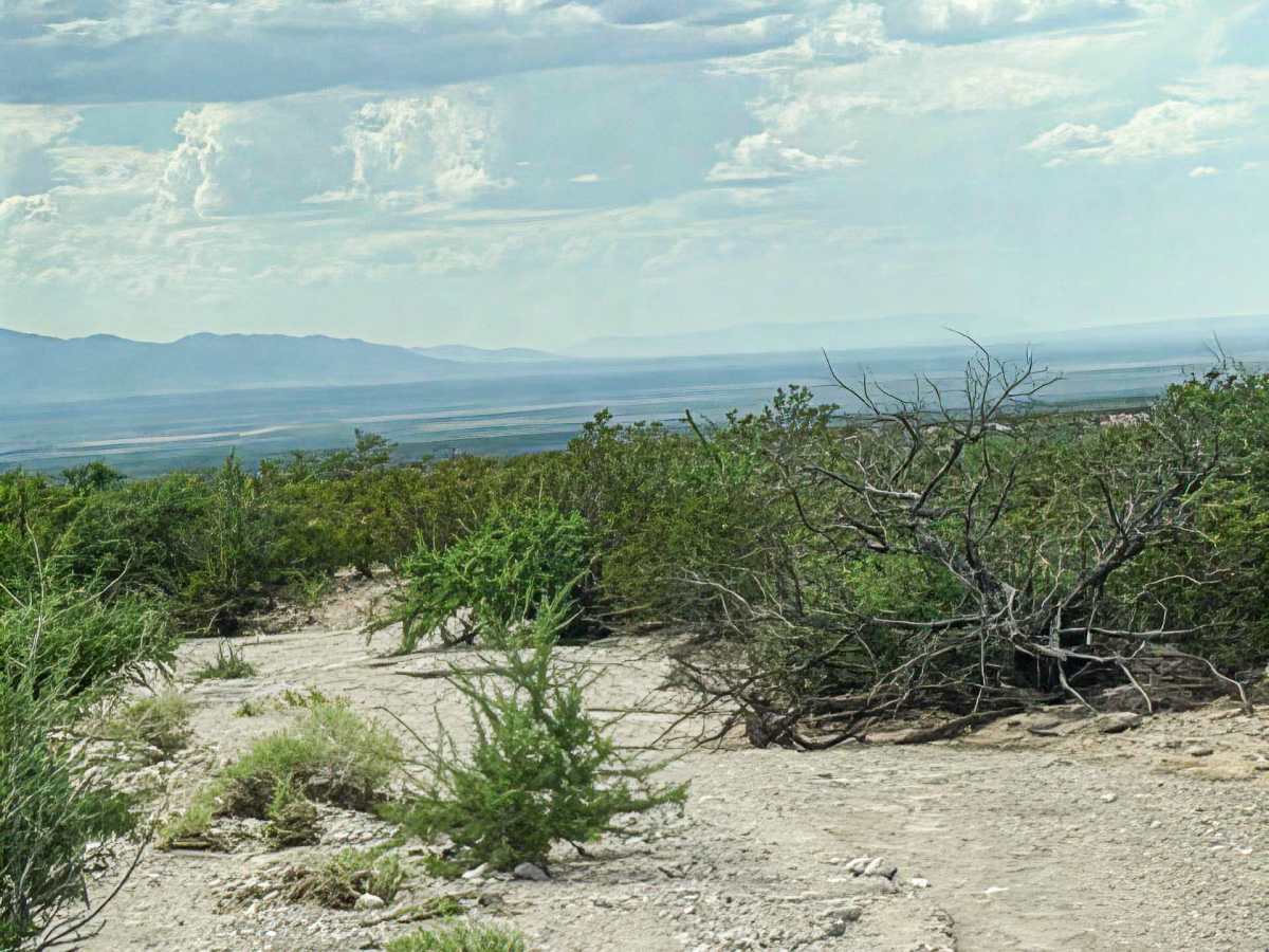 Ss1161 photo 4