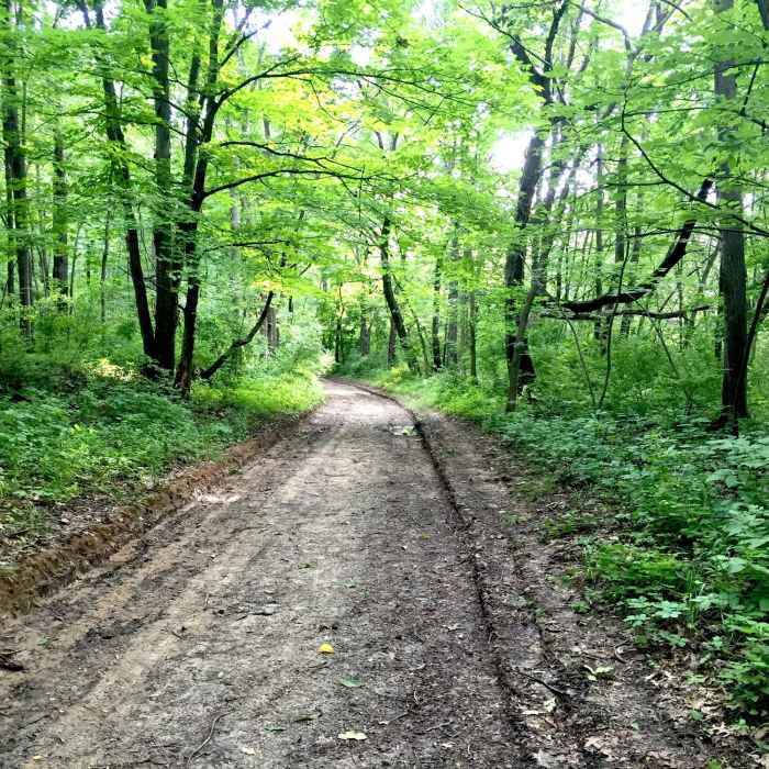 Near McBride Nature Recreation Loop