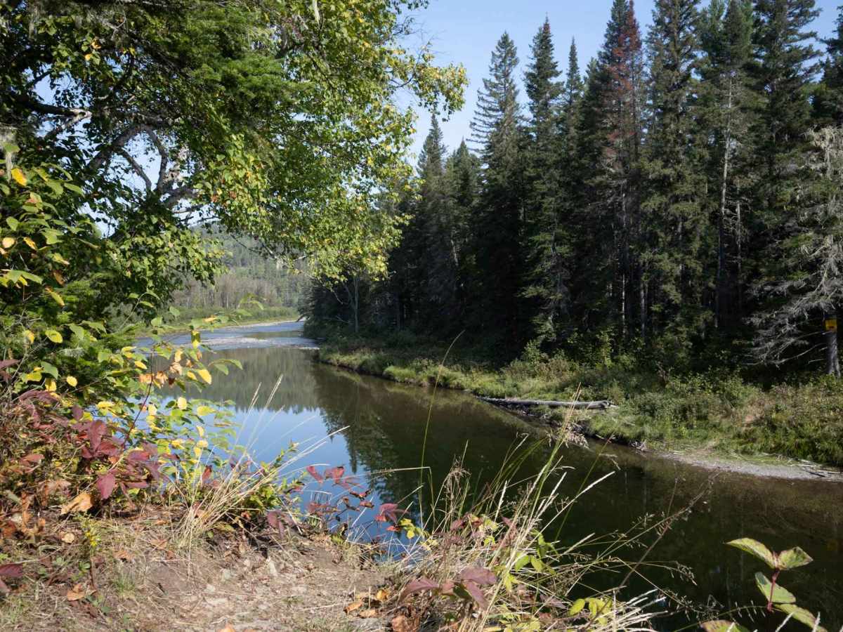 Dalhousie Road trail photo