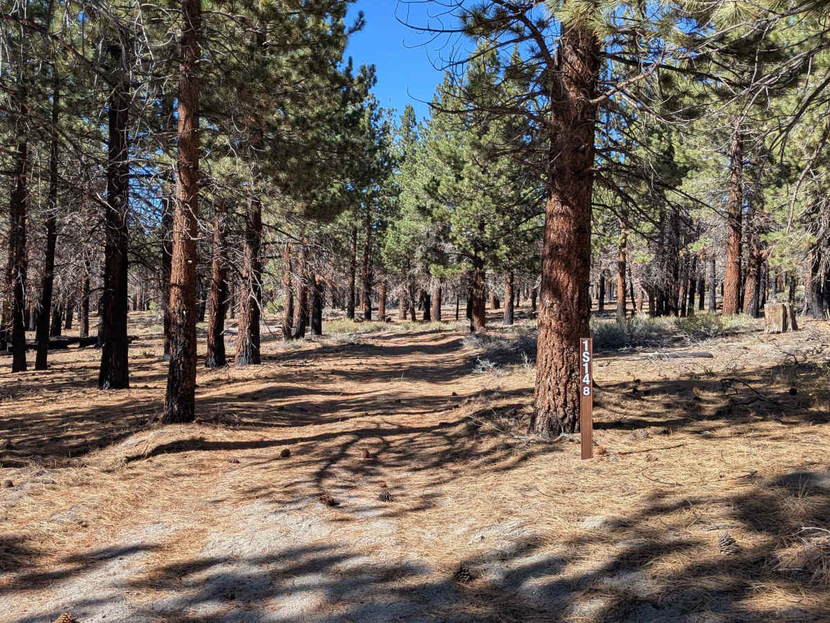 FS 1S148 trail photo