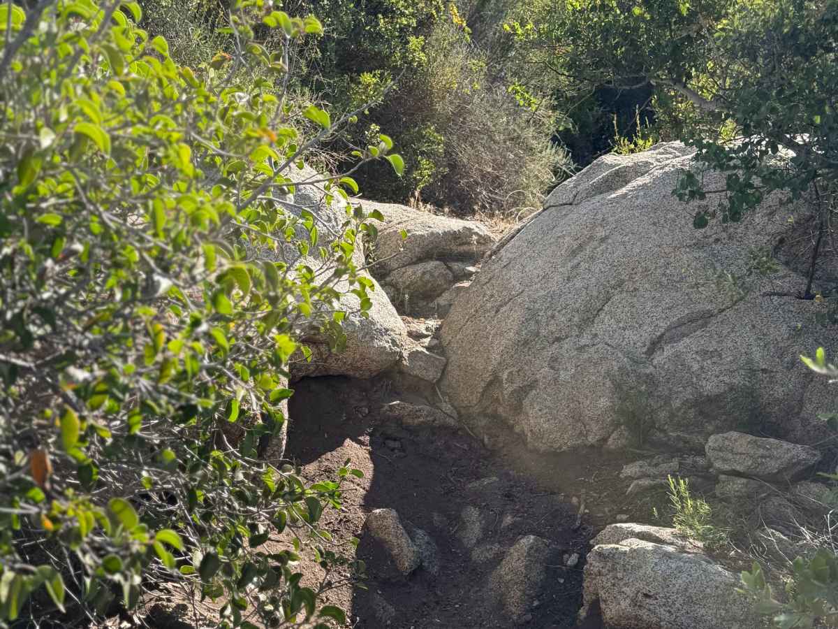 Ranger - Trail 12 photo 5