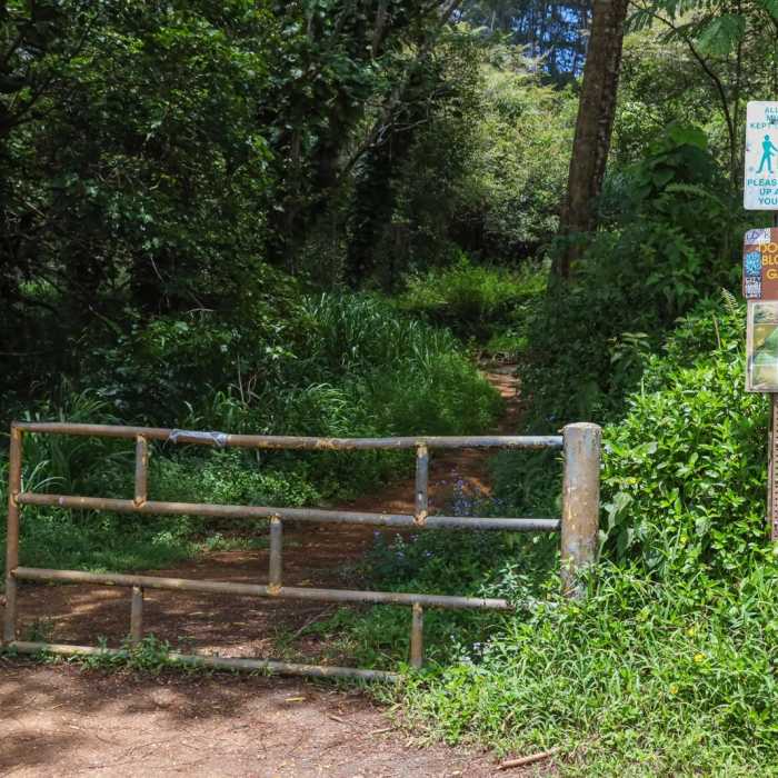 Near Kuilau Ridge Trail