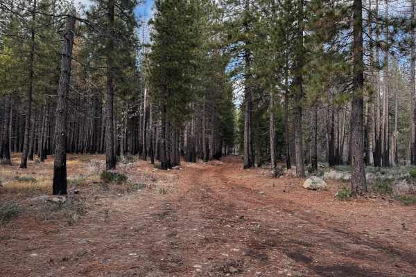 Fork House Road