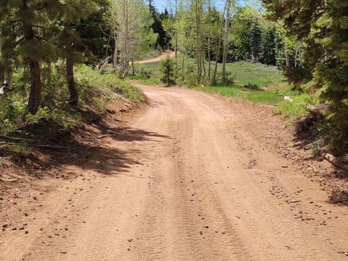 Strawberry Ridge photo 4
