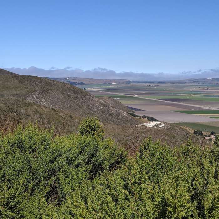 Near Bodger Trail (Lookout Point)
