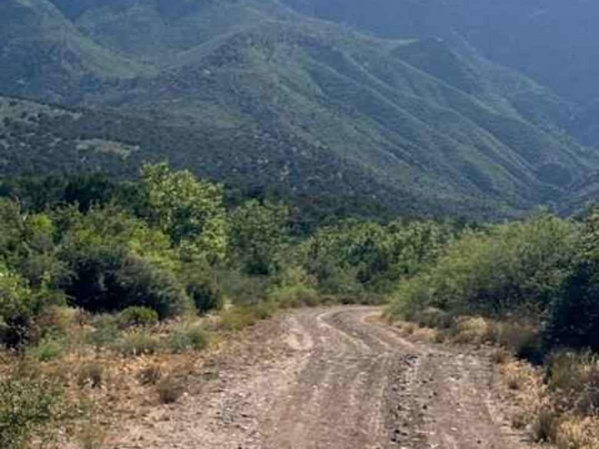 Rock Creek - FS 442 photo 6